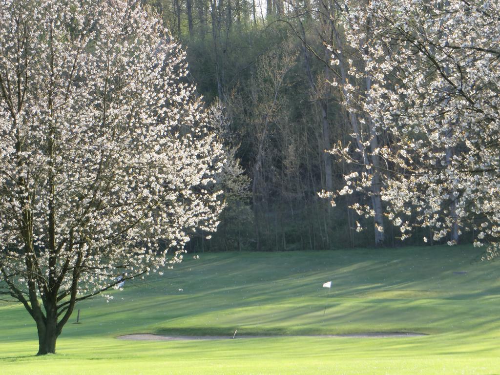Golf & Hotel De Falnuee Mazy Bagian luar foto